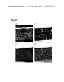 SLIDING MATERIAL, SLIDING MEMBER, AND WEATHERSTRIP diagram and image