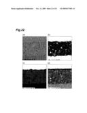 SLIDING MATERIAL, SLIDING MEMBER, AND WEATHERSTRIP diagram and image