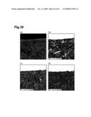 SLIDING MATERIAL, SLIDING MEMBER, AND WEATHERSTRIP diagram and image