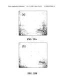 CROSSLINKABLE HOLE-TRANSPORTING MATERIALS FOR ORGANIC LIGHT-EMITTING DEVICES diagram and image