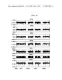 Braithwaite particle trap (THE BPT) diagram and image