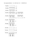 PHASED ARRAY ANTENNA diagram and image