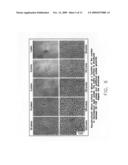 LASER-PROCESSED SUBSTRATE FOR MOLECULAR DIAGNOSTICS diagram and image