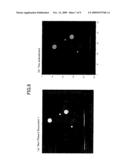 IMAGE RECONSTRUCTION DEVICE, IMAGE RECONSTRUCTION METHOD, IMAGE RECONSTRUCTION PROGRAM, AND CT APPARATUS diagram and image