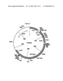 IMMUNIZATION OF FISH WITH PLANT-EXPRESSED RECOMBINANT PROTEINS diagram and image