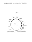 IMMUNIZATION OF FISH WITH PLANT-EXPRESSED RECOMBINANT PROTEINS diagram and image