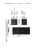 ENHANCEMENT OF DRUG THERAPY BY MIRNA diagram and image