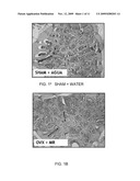 COMPOSITIONS OF ATOMIZED OR LYOPHILIZED MACA (Lepidium meyenii) EXTRACTS AND ATOMIZED OR LYOPHILIZED YACON (Smallanthus sanchifolius) EXTRACTS AS ADJUVANTS IN THE TREATMENT OF DIFFERENT CONDITIONS diagram and image