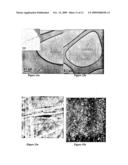 METHOD FOR SEPARATING HIGH ASPECT RATIO MOLECULAR STRUCTURES diagram and image