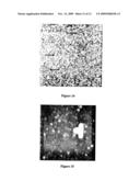 METHOD FOR SEPARATING HIGH ASPECT RATIO MOLECULAR STRUCTURES diagram and image