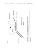 Turn Over Probes and Use Thereof for Nucleic Acid Detection diagram and image