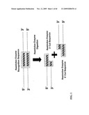 GENE METHYLATION AND EXPRESSION diagram and image