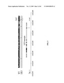 GENE METHYLATION AND EXPRESSION diagram and image