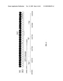 GENE METHYLATION AND EXPRESSION diagram and image