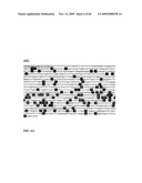 GENE METHYLATION AND EXPRESSION diagram and image