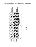 GENE METHYLATION AND EXPRESSION diagram and image