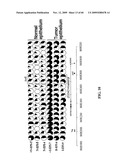 GENE METHYLATION AND EXPRESSION diagram and image