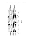 GENE METHYLATION AND EXPRESSION diagram and image