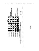 GENE METHYLATION AND EXPRESSION diagram and image