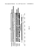 GENE METHYLATION AND EXPRESSION diagram and image