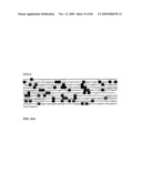 GENE METHYLATION AND EXPRESSION diagram and image