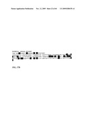 GENE METHYLATION AND EXPRESSION diagram and image