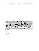 GENE METHYLATION AND EXPRESSION diagram and image