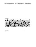 GENE METHYLATION AND EXPRESSION diagram and image