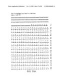 Novel nucleic acid sequences encoding adenylate kinases, alcohol dehydrogenases, ubiquitin proteases, lipases, adenylate cyclases, and GTPase activators diagram and image