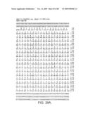 Novel nucleic acid sequences encoding adenylate kinases, alcohol dehydrogenases, ubiquitin proteases, lipases, adenylate cyclases, and GTPase activators diagram and image