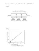 METHOD FOR MEASUREMENT OF SARS VIRUS NUCLEOCAPSID PROTEIN, REAGENT KIT FOR THE MEASUREMENT, TEST DEVICE, MONOCLONAL ANTIBODY DIRECTED AGAINST SARS VIRUS NUCLEOCAPSID PROTEIN, AND HYBRIDOMA CAPABLE OF PRODUCING THE MONOCLONAL ANTIBODY diagram and image