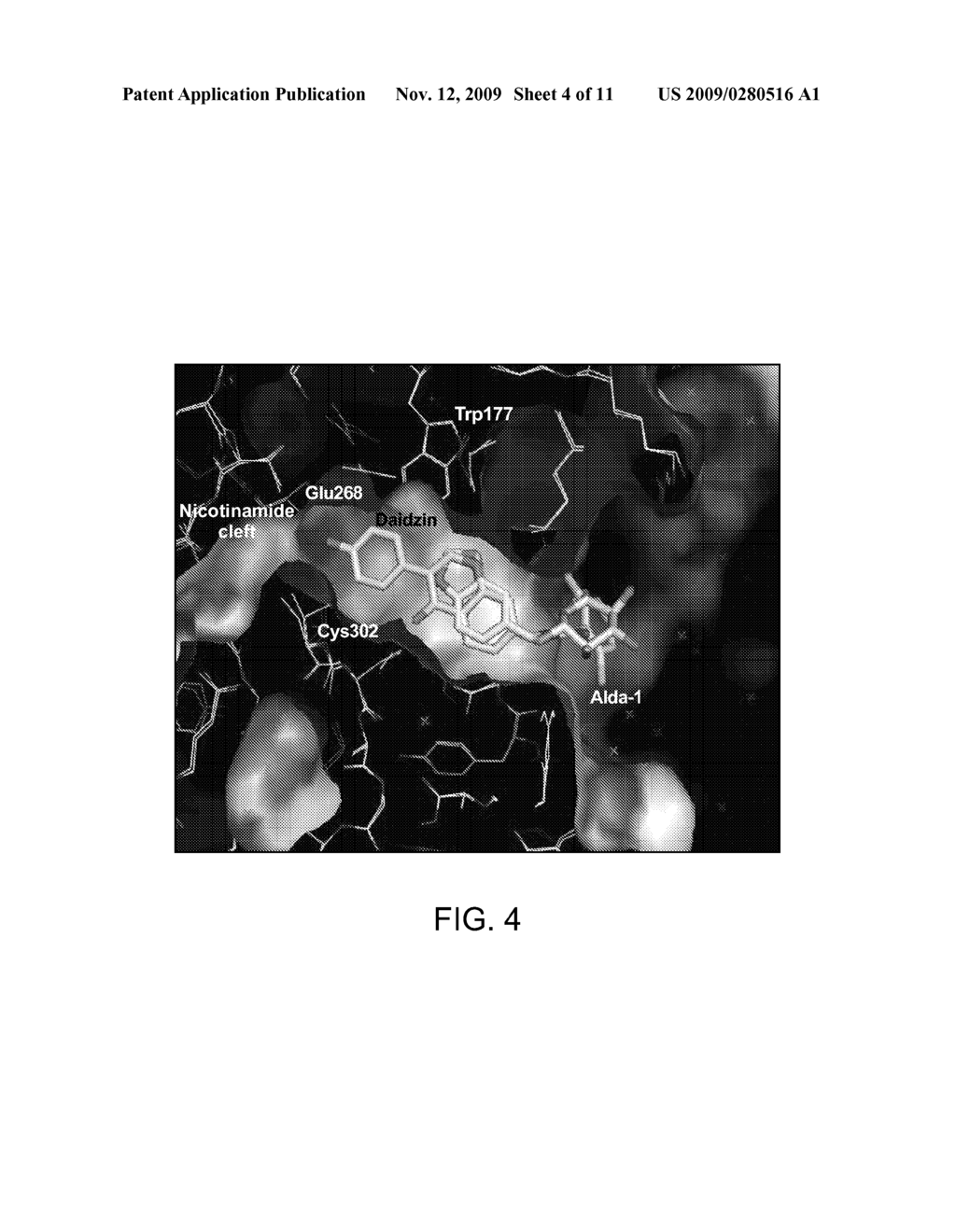 CRYSTAL STRUCTURE OF ALDEHYDE DEHYDROGENASE AND METHODS OF USE THEREOF - diagram, schematic, and image 05