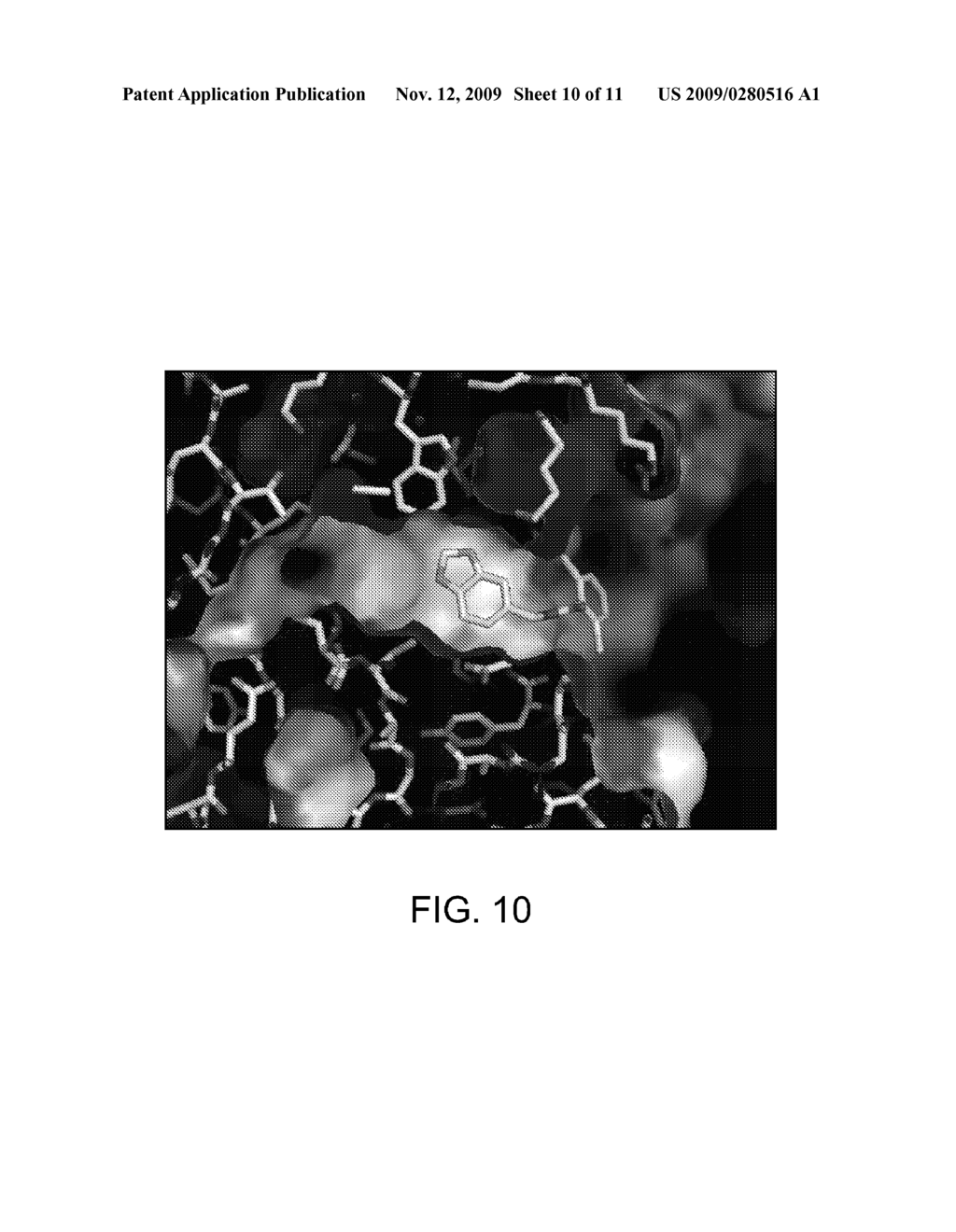 CRYSTAL STRUCTURE OF ALDEHYDE DEHYDROGENASE AND METHODS OF USE THEREOF - diagram, schematic, and image 11