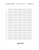 DNA POLYMERASES AND RELATED METHODS diagram and image