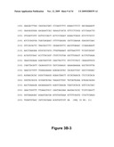 DNA POLYMERASES AND RELATED METHODS diagram and image