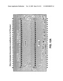 DNA POLYMERASES AND RELATED METHODS diagram and image