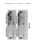 DNA POLYMERASES AND RELATED METHODS diagram and image