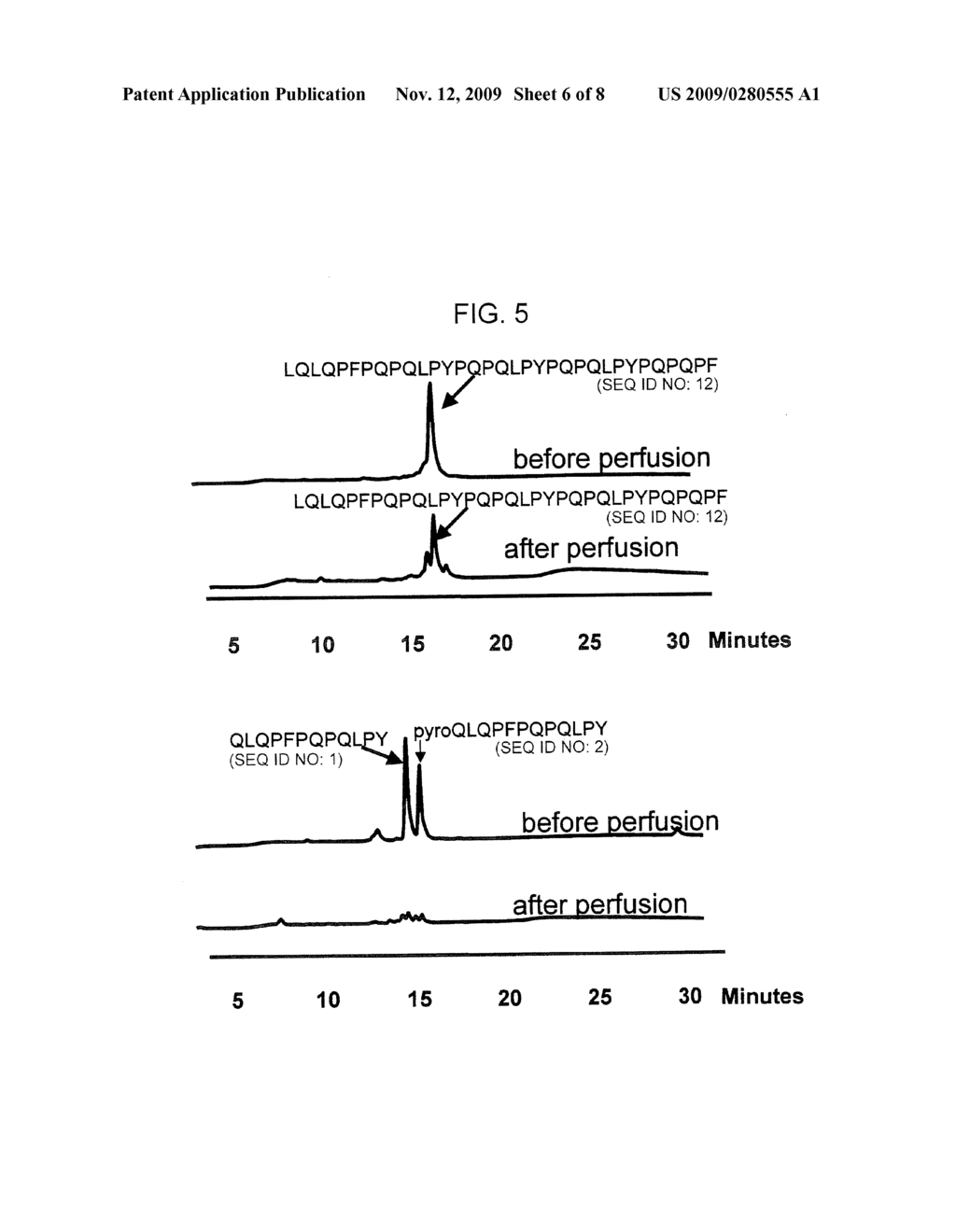 ENZYME TREATMENT OF FOODSTUFFS FOR CELIAC SPRUE - diagram, schematic, and image 07