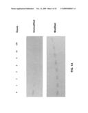 STABILIZED SIRNAS AS TRANSFECTION CONTROLS AND SILENCING REAGENTS diagram and image