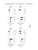 STABILIZED SIRNAS AS TRANSFECTION CONTROLS AND SILENCING REAGENTS diagram and image