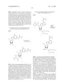 STABILIZED SIRNAS AS TRANSFECTION CONTROLS AND SILENCING REAGENTS diagram and image