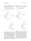 STABILIZED SIRNAS AS TRANSFECTION CONTROLS AND SILENCING REAGENTS diagram and image