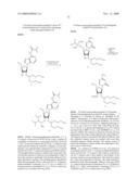 STABILIZED SIRNAS AS TRANSFECTION CONTROLS AND SILENCING REAGENTS diagram and image