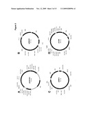 DELTA 17 DESATURASE AND ITS USE IN MAKING POLYUNSATURATED FATTY ACIDS diagram and image