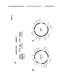 DELTA 17 DESATURASE AND ITS USE IN MAKING POLYUNSATURATED FATTY ACIDS diagram and image