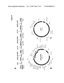 DELTA 17 DESATURASE AND ITS USE IN MAKING POLYUNSATURATED FATTY ACIDS diagram and image