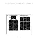 ELASTIN DIGEST COMPOSITIONS AND METHODS UTILIZING SAME diagram and image