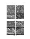 Method for Functionalization of Nanoscale Fibers and Nanoscale Fiber Films diagram and image