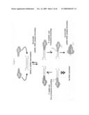 siRNA Targeting v-myc myelocytomatosis viral oncogene homolog (MYC) diagram and image