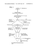 Use of dimethyl disulfide for methionine production in microoragnisms diagram and image